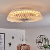 Rivarotta Ventilador de techo LED Blanca, 1 luz, Mando a distancia