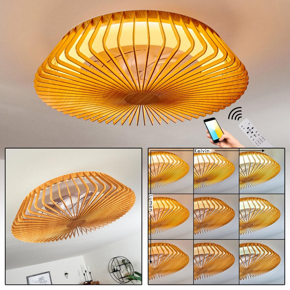 Rivarotta Ventilador de techo LED Blanca, 1 luz, Mando a distancia main product photo
