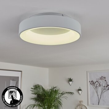 Pine Lámpara de Techo LED Blanca, 1 luz