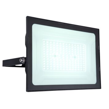 Globo HELGA Aplique para exterior LED Transparente, 1 luz