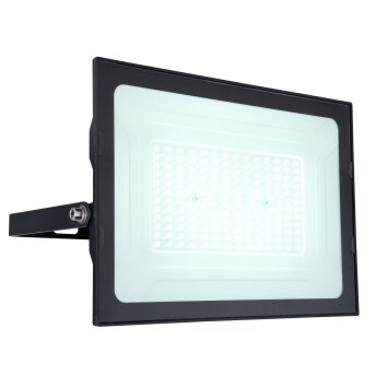 Globo HELGA Aplique para exterior LED Negro, 1 luz