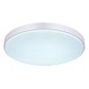 Globo SONNY Lámpara de Techo LED Plata, Blanca, 1 luz, Mando a distancia