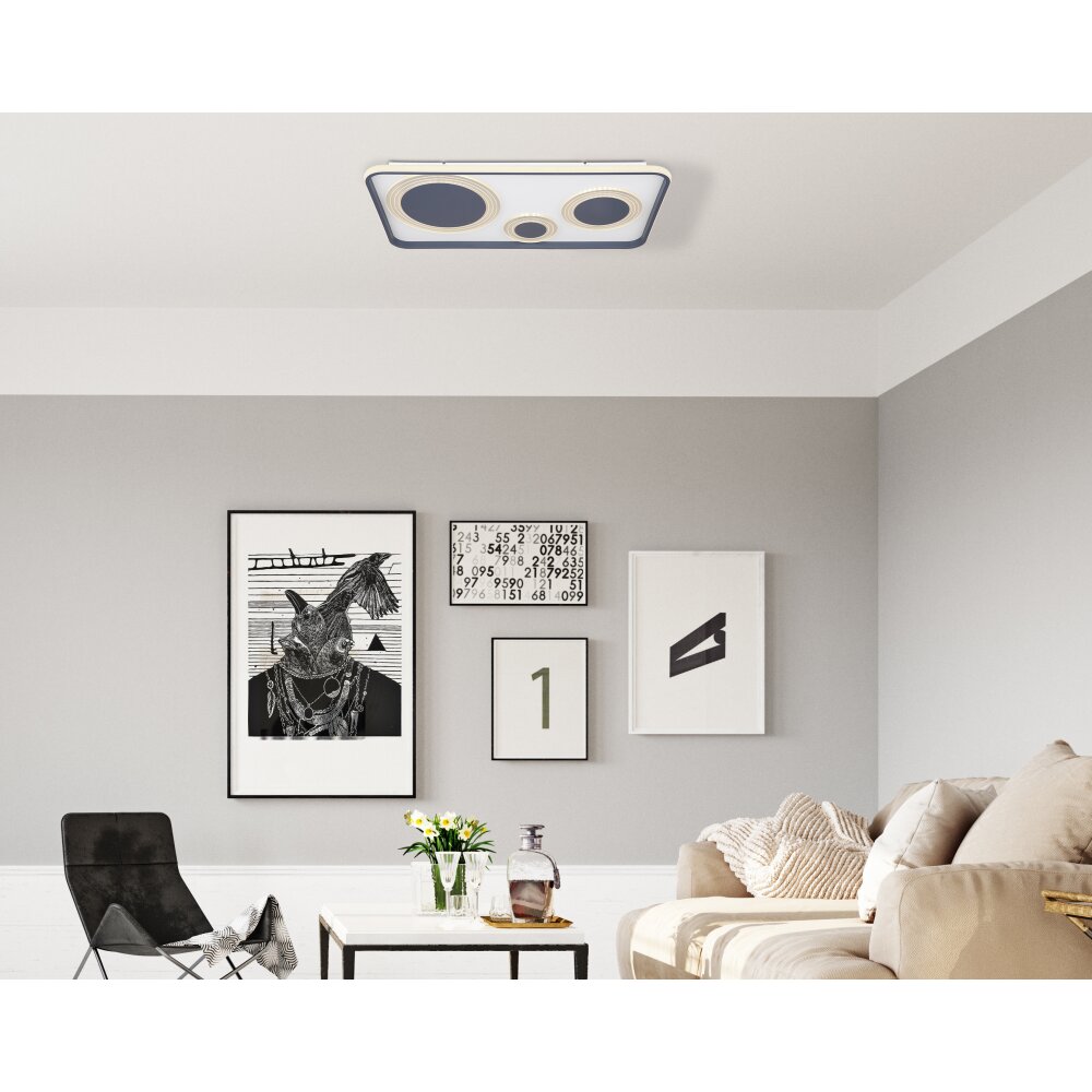Globo NORA Lámpara de Techo LED Negro, 1 luz, Mando a distancia main product photo
