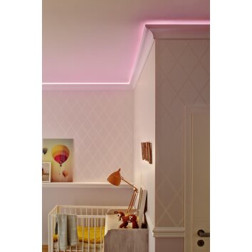 LEDVANCE STRIP NEON Tiras de LED Blanca, 1 luz