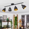 Pistrino Lámpara de Techo Cromo, Negro, 4 luces Pistrino Lámpara de Techo Cromo, Negro, 4 luces