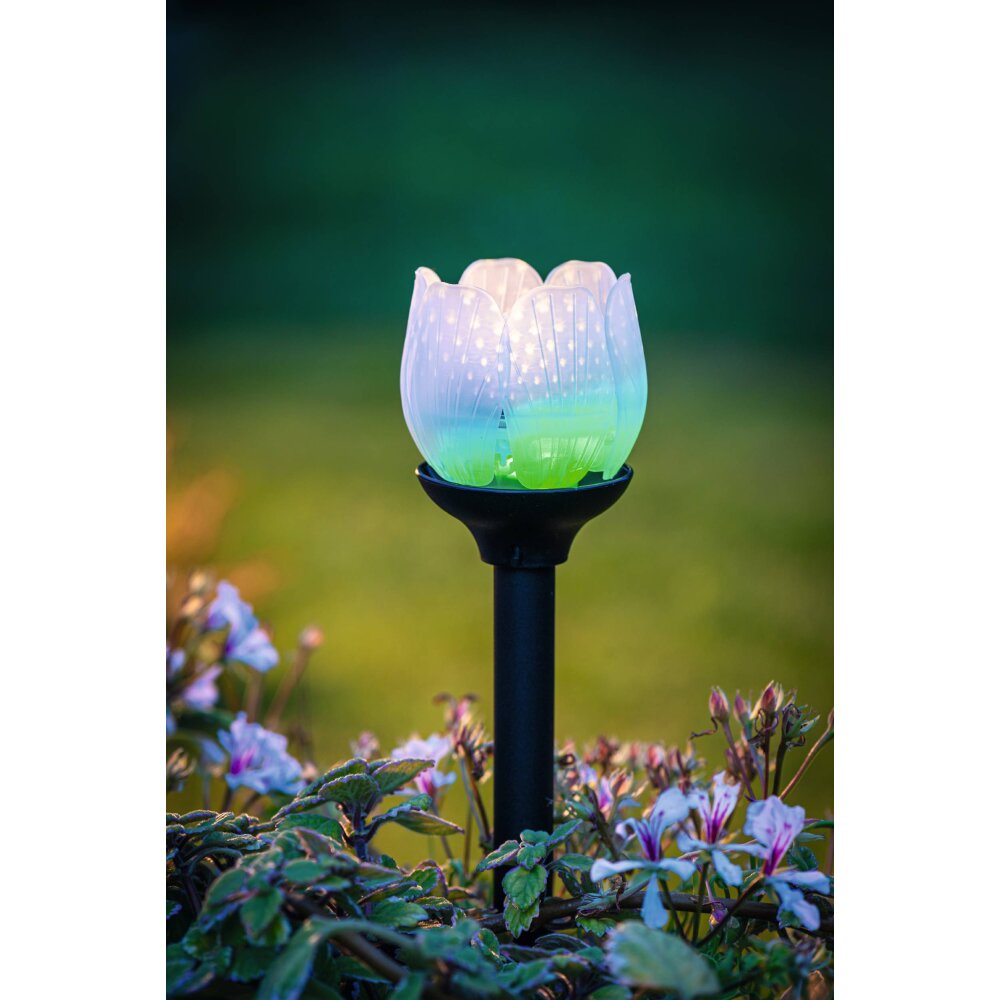 Eglo BLÜTE Lámpara solar LED Negro, 2 luces, Cambia de color main product photo