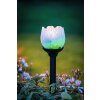 Eglo BLÜTE Lámpara solar LED Negro, 2 luces, Cambia de color