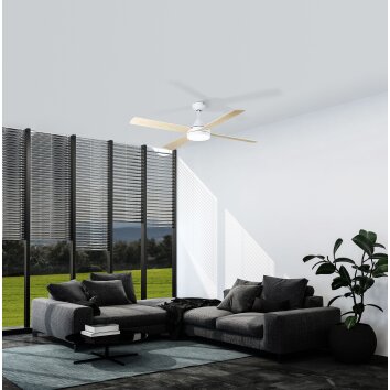 Eglo TRINIDAD Ventilador de techo LED Blanca, 1 luz