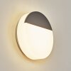 Eppeland Aplique para exterior LED Antracita, 1 luz Eppeland Aplique para exterior LED Antracita, 1 luz