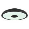 Globo RAFFY Lámpara de Techo LED Negro, Blanca, 1 luz, Mando a distancia, Cambia de color
