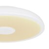 Globo RAFFY Lámpara de Techo LED, 1 luz, Mando a distancia, Cambia de color