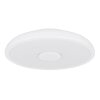 Globo RAFFY Lámpara de Techo LED, 1 luz, Mando a distancia, Cambia de color