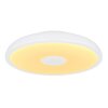 Globo RAFFY Lámpara de Techo LED, 1 luz, Mando a distancia, Cambia de color