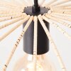 Brilliant Malty Lámpara Colgante Negro, 1 luz
