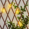 Trygsland Cadena de luces solares LED Marrón, 10 luces