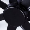 Aargaard Ventilador de techo Negro, Mando a distancia