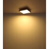 Globo DORO Lámpara de Techo LED Color madera, Negro, 1 luz