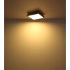 Globo DORO Lámpara de Techo LED Color madera, Negro, 1 luz