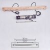 Rodeche Lámpara Colgante LED Transparente, Crudo, 2 luces