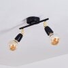 Musland Lámpara de Techo dorado, Negro, 2 luces