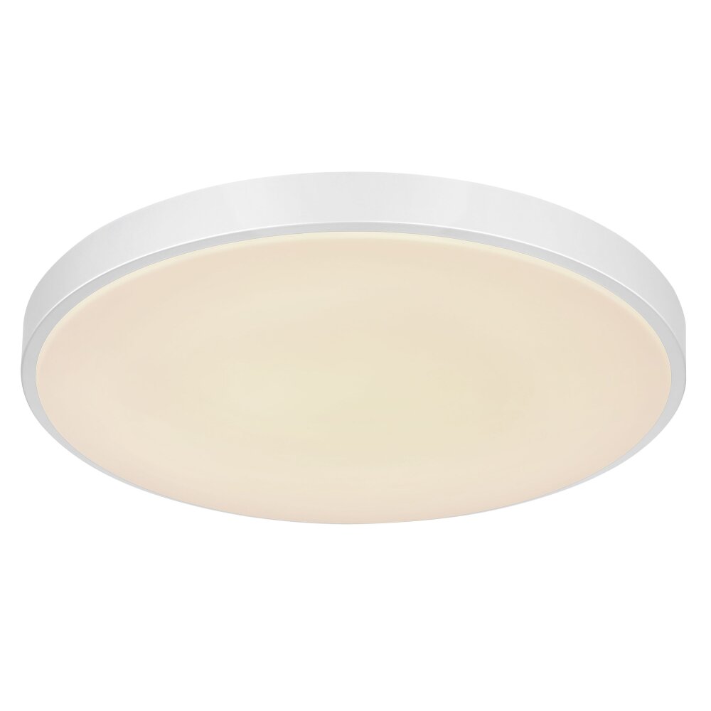 Globo SONNY Lámpara de Techo LED Plata, Blanca, 1 luz, Mando a distancia main product photo
