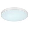 Globo SONNY Lámpara de Techo LED Plata, Blanca, 1 luz, Mando a distancia