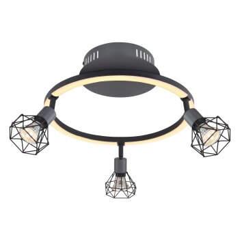 Globo JUTTA Lámpara de Techo LED Negro, 1 luz Globo JUTTA Lámpara de Techo LED Negro, 1 luz