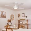 Tjerne Ventilador de techo LED Blanca, 1 luz