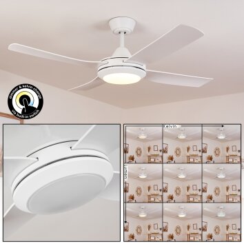 Tjerne Ventilador de techo LED Blanca, 1 luz