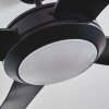 Tjerne Ventilador de techo LED Negro, 1 luz