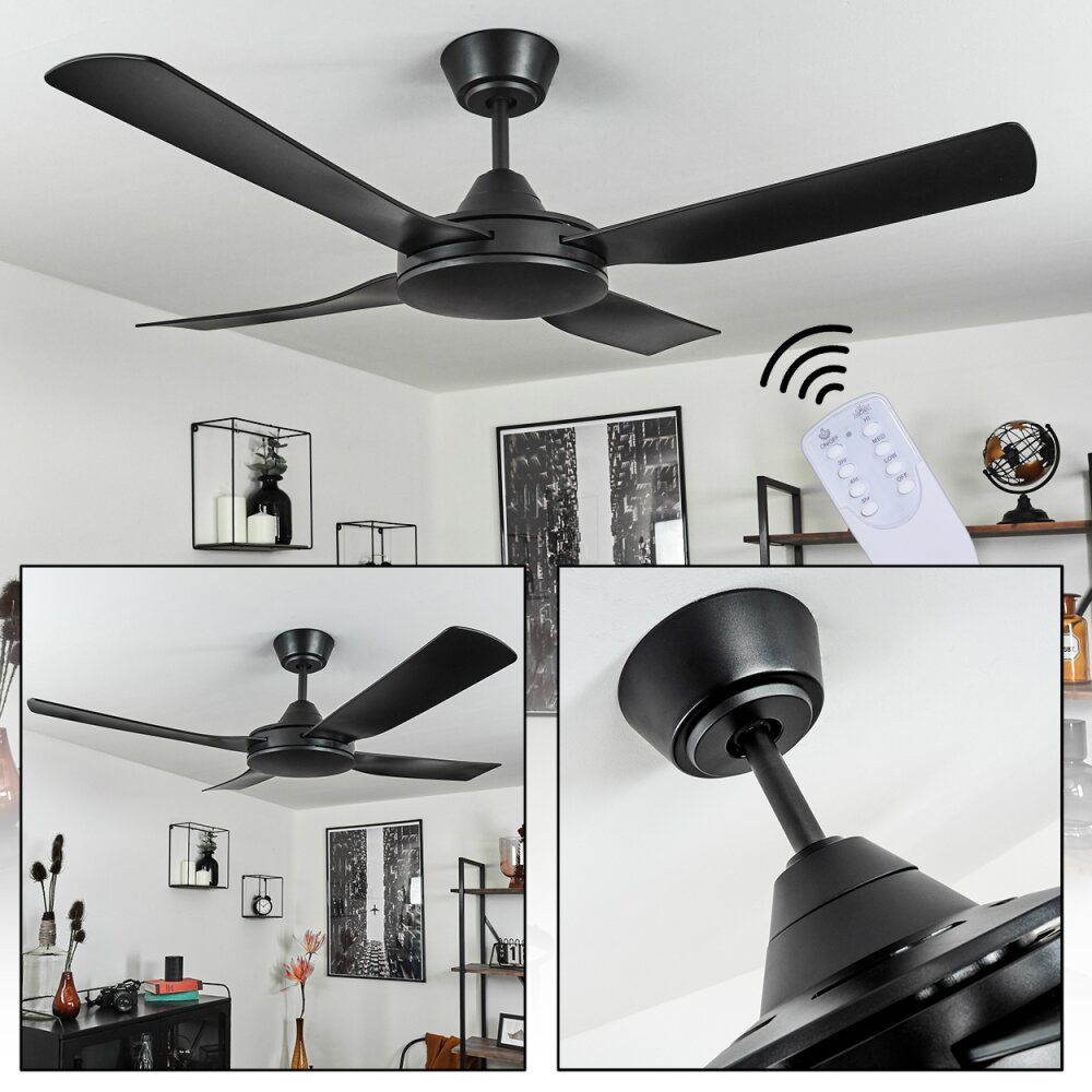 Tjerne Ventilador de techo Negro main product photo