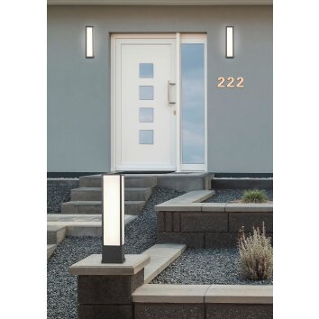 Trio Fuerte Aplique para exterior LED Antracita, 1 luz