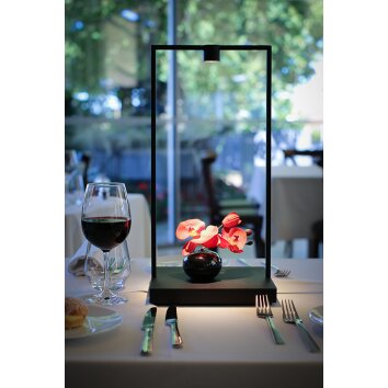 Artemide Curiosity Lámpara de mesa LED Marrón, Negro, 1 luz