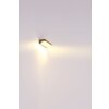 Globo HONNA Aplique para exterior LED Antracita, 1 luz