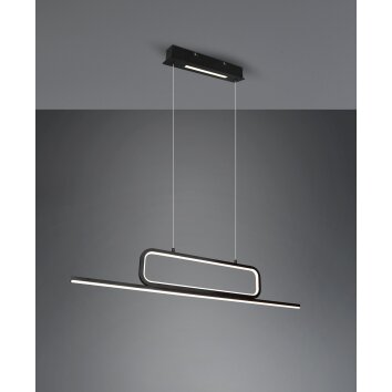 Trio Aick Lámpara Colgante LED Negro, 1 luz