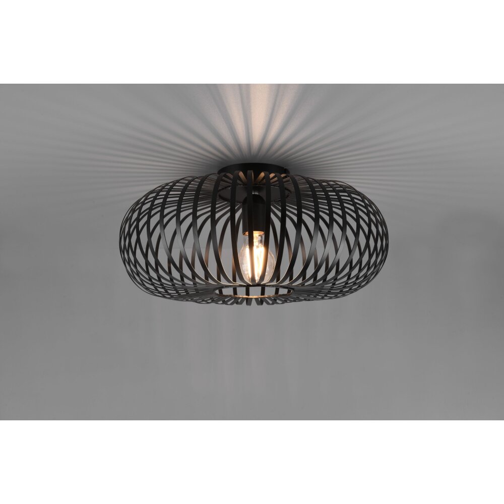 Trio Johann Lámpara de Techo Negro, 1 luz main product photo