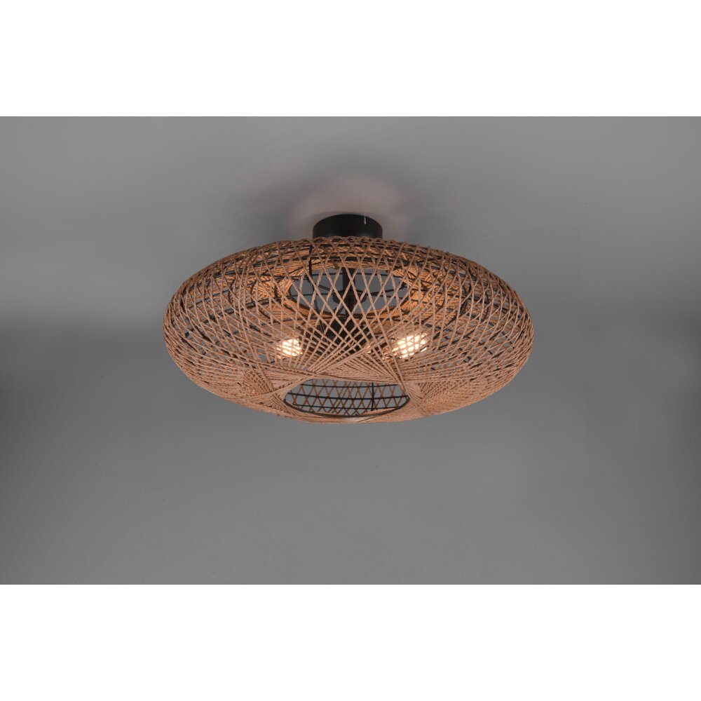 Trio Hedda Lámpara de Techo Negro, 2 luces main product photo