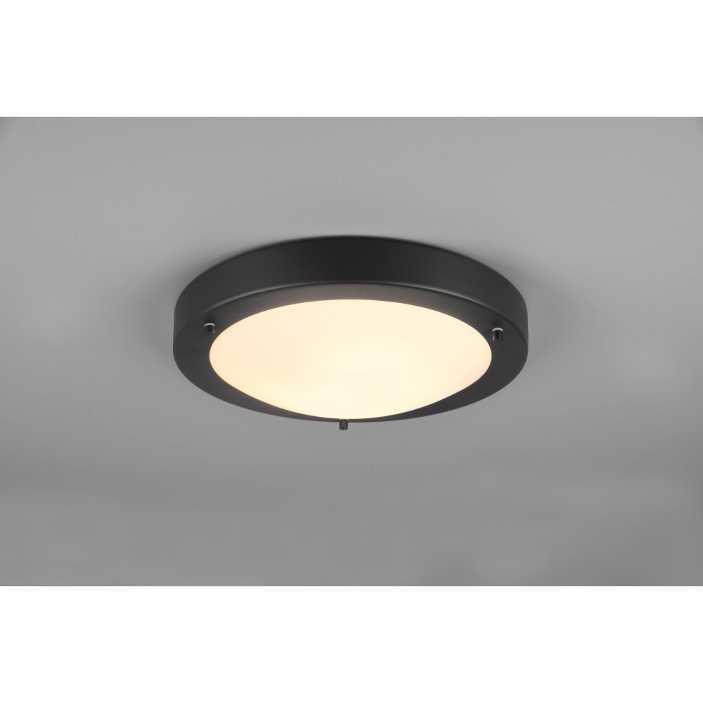 Trio Condus Lámpara de Techo Negro, 1 luz main product photo