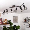 Baripada Lámpara de Techo Marrón, Negro, 6 luces