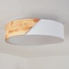 Mjelstad Lámpara de Techo Marrón, Blanca, 2 luces