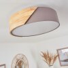 Mjelstad Lámpara de Techo Marrón, Gris, Blanca, 2 luces