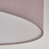 Mjelstad Lámpara de Techo Marrón, Gris, Blanca, 2 luces