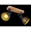 Globo LENNA Lámpara de Techo Madera oscura, Negro, 2 luces