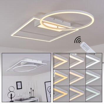 Loftheim Lámpara de Techo LED Cromo, Blanca, 1 luz