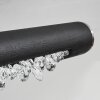 Rodeche Lámpara de Techo LED Níquel-mate, Negro, 1 luz