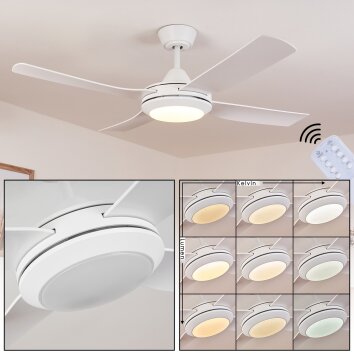 Tjerne Ventilador de techo LED Blanca, 1 luz, Mando a distancia