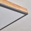 Salmi Lámpara de Techo LED Color madera, Negro, Blanca, 1 luz, Mando a distancia
