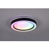 Reality Arco Lámpara de Techo LED Negro, 1 luz, Mando a distancia, Cambia de color