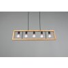 Trio-Leuchten Agra Lámpara Colgante Negro, 5 luces