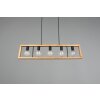 Trio-Leuchten Agra Lámpara Colgante Negro, 5 luces